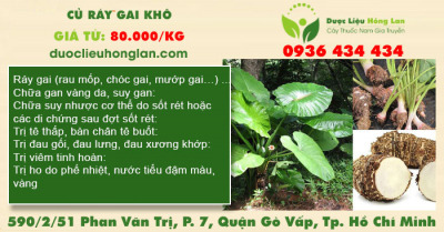 Củ Ráy Gai khô