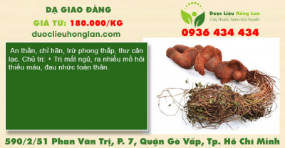 Dạ giao đằng