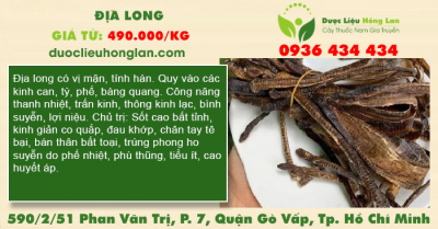 Địa Long