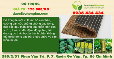Đỗ Trọng