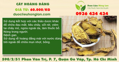 Cây Hoàng đằng