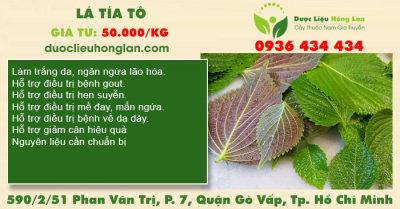 Lá Tía Tô