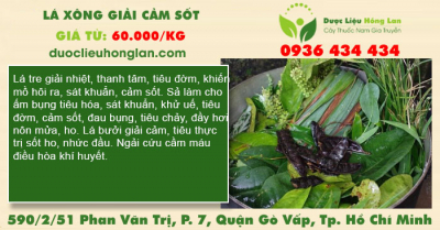 Lá xông giải cảm sốt
