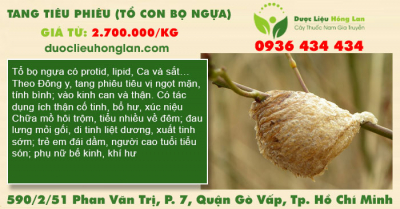 Tang tiêu phiêu (tổ con bọ ngựa)