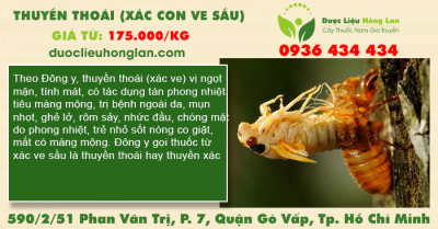 Thuyền thoái (xác con ve sầu)