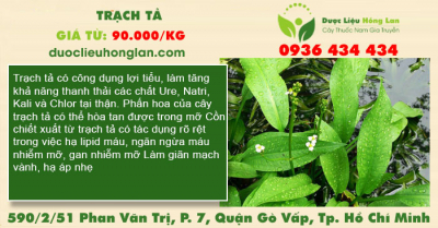 Trạch tả