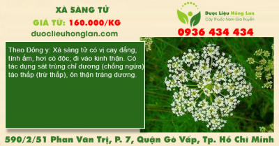 Xà sàng tử