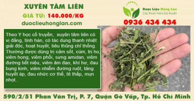 Xuyên Tâm Liên