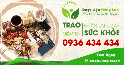 Công dụng và tác dụng của Cây Cỏ Xước với sức khỏe