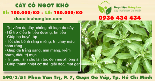 Cây Cỏ Ngọt khô