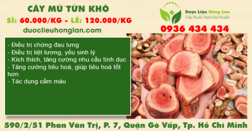 Cây Mú Từn khô
