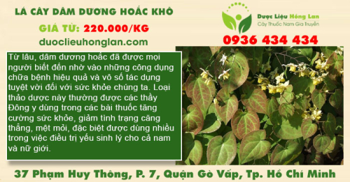 Lá Cây Dâm Dương Hoắc khô