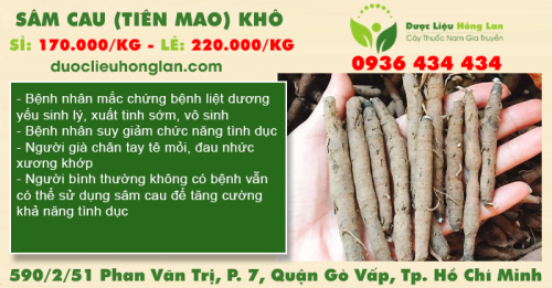 Sâm Cau (Tiên Mao) khô