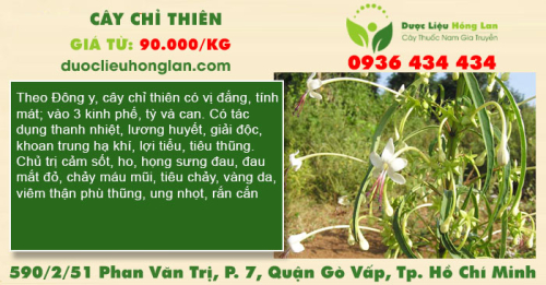 Cây chỉ thiên