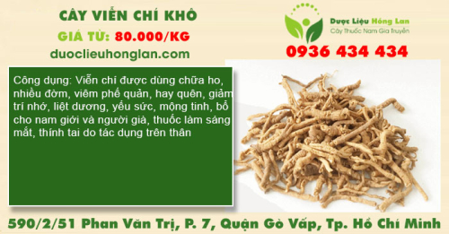Cây Viễn Trí Khô