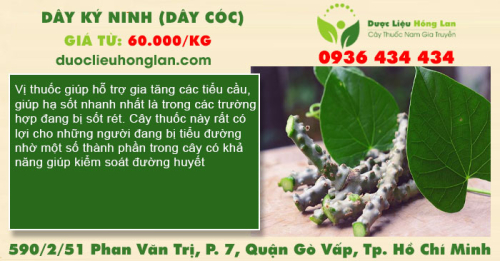 Dây ký ninh (dây cóc)