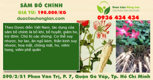 Sâm Bố Chính