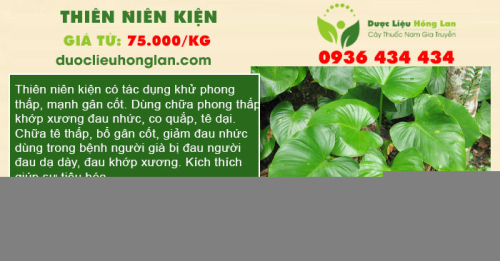 Thiên Niên Kiện
