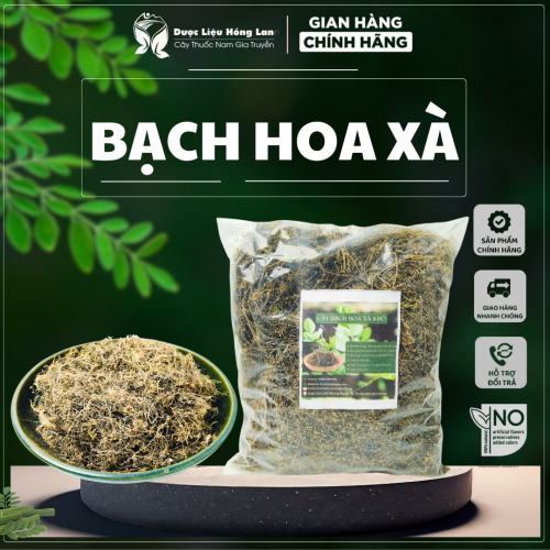 Cây Bạch Hoa Xà Thiệt Thảo