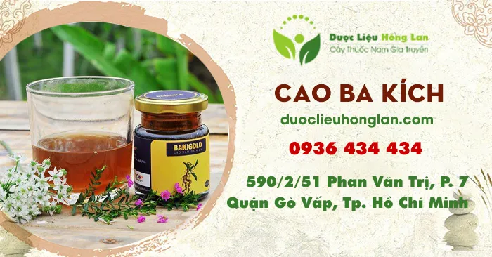 Cao Ba Kích