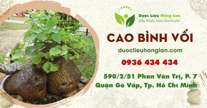 Cao Bình Vôi