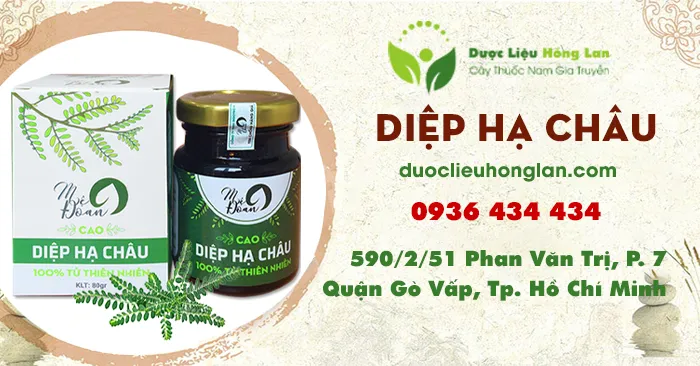 Cao Diệp Hạ Châu