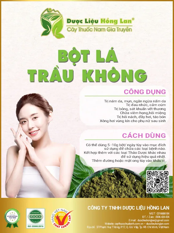 Bột Lá Trầu Không