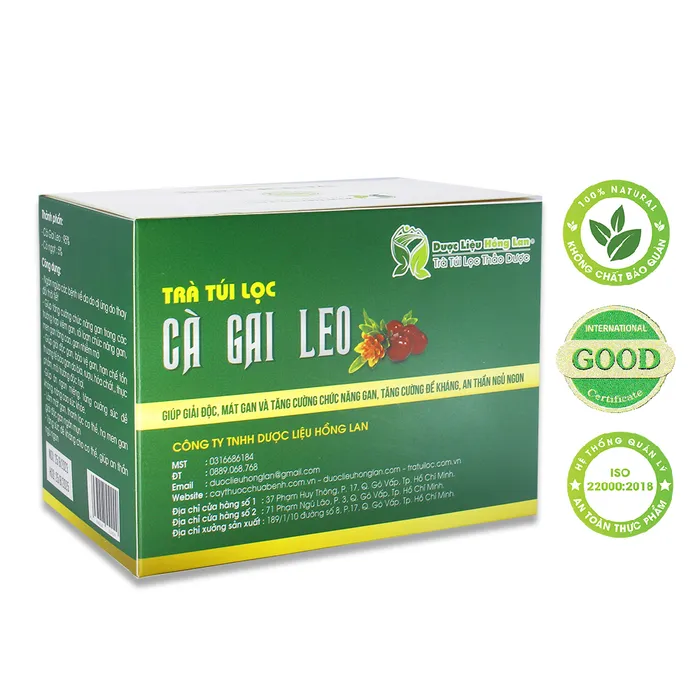 Trà Túi Lọc Cà Gai Leo 2
