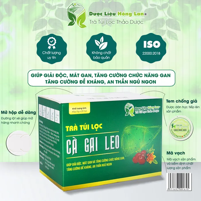 Trà Túi Lọc Cà Gai Leo