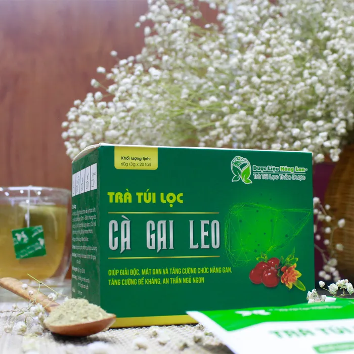Trà Túi Lọc Cà Gai Leo 4