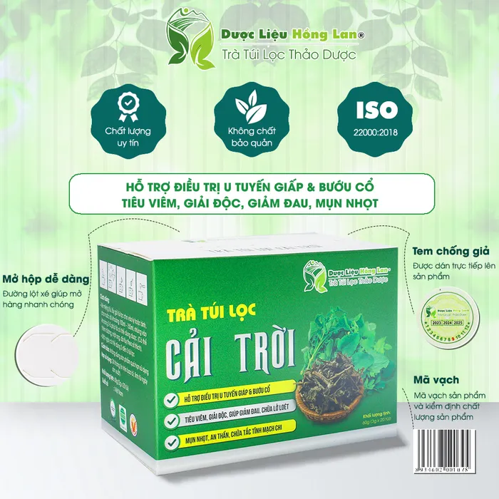 Trà Túi Lọc Cây Rau Cải Trời