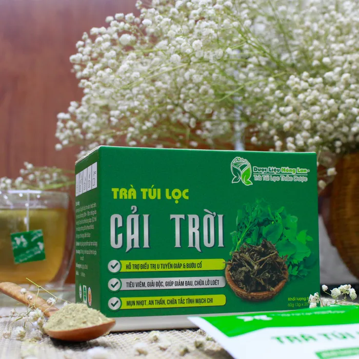 Trà Túi Lọc Cây Rau Cải Trời 3