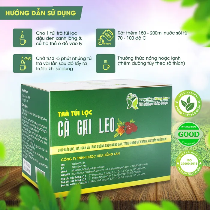 Trà Túi Lọc Cà Gai Leo 3