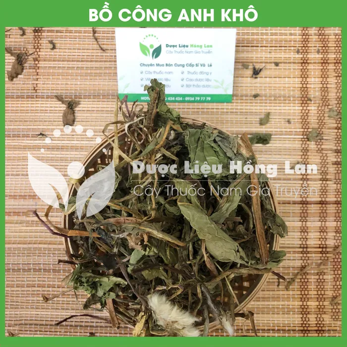 Cây Bồ Công Anh Khô 1