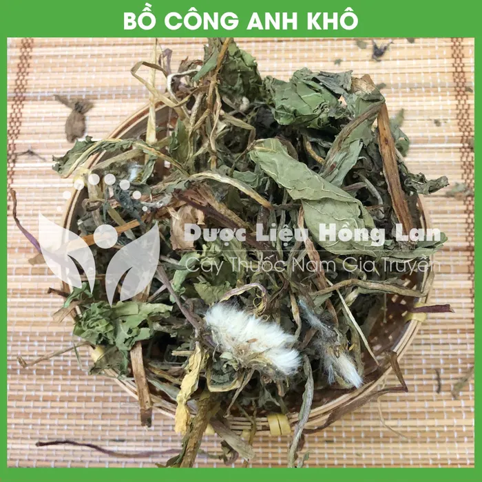 Cây Bồ Công Anh Khô 3