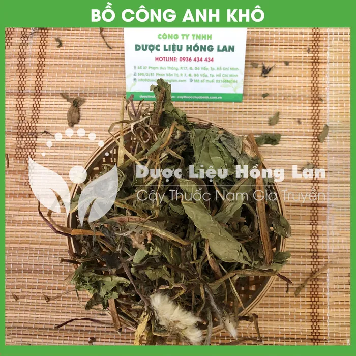 Cây Bồ Công Anh Khô 2