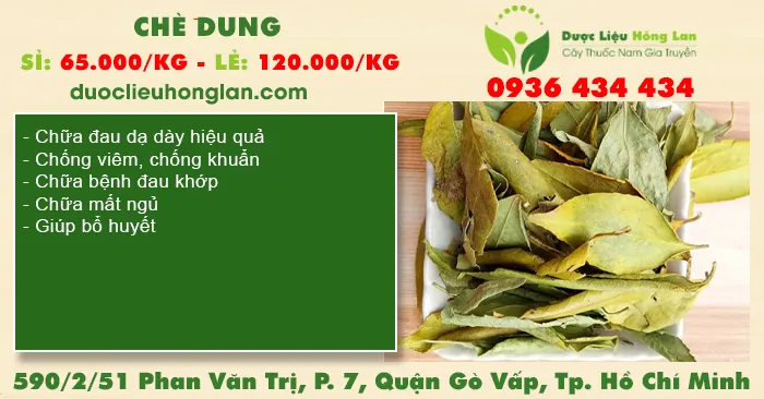 Cây Lá Chè Dung