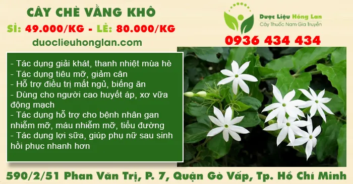 Cây Chè Vằng khô