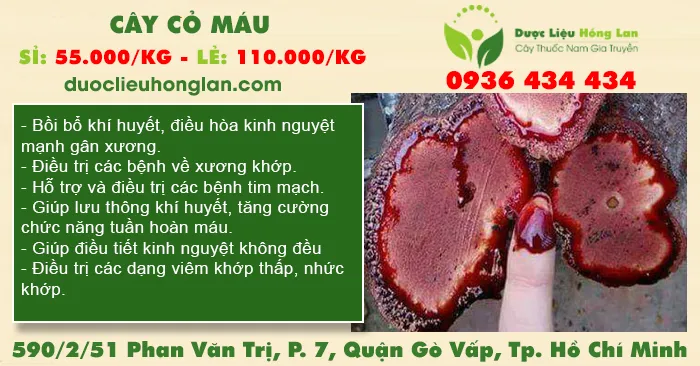 Cây Cỏ Máu