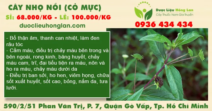 Cây Nhọ Nồi (Cỏ Mực) khô