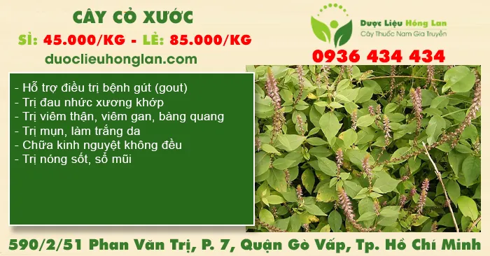 Cây Cỏ Xước