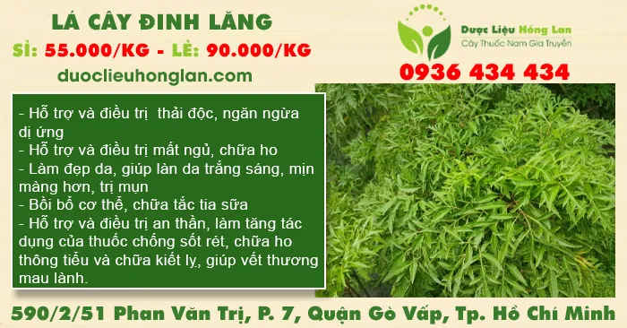 Lá Cây Đinh Lăng