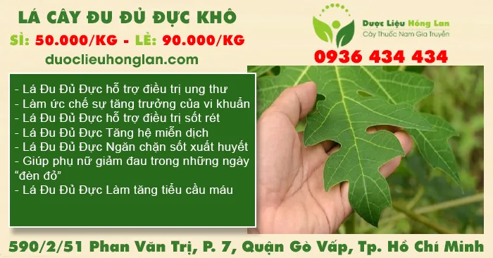 Lá Cây Đu Đủ Đực khô