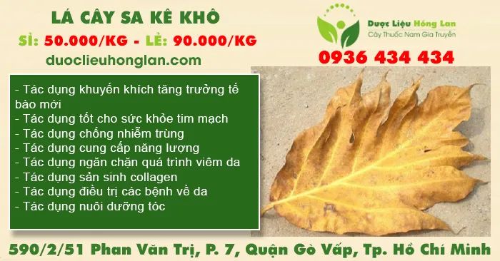 Lá Cây Sa Kê khô