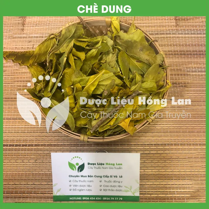 Cây Lá Chè Dung 2