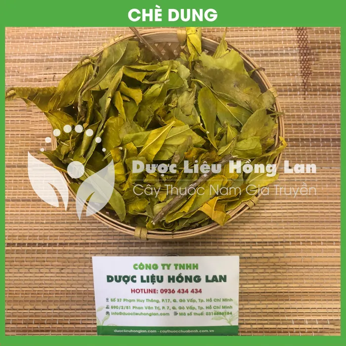 Cây Lá Chè Dung 1