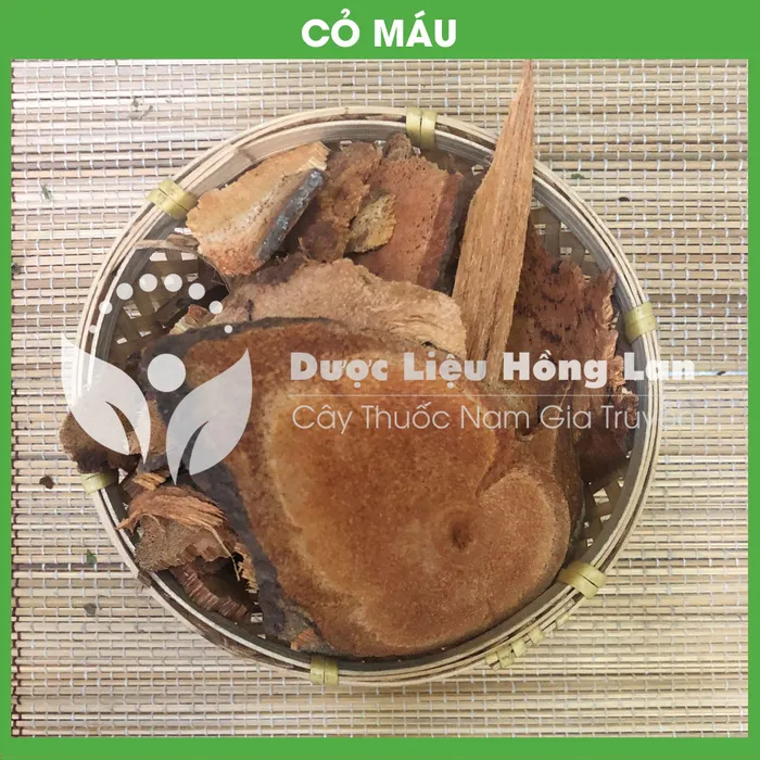 Cây Cỏ Máu 1