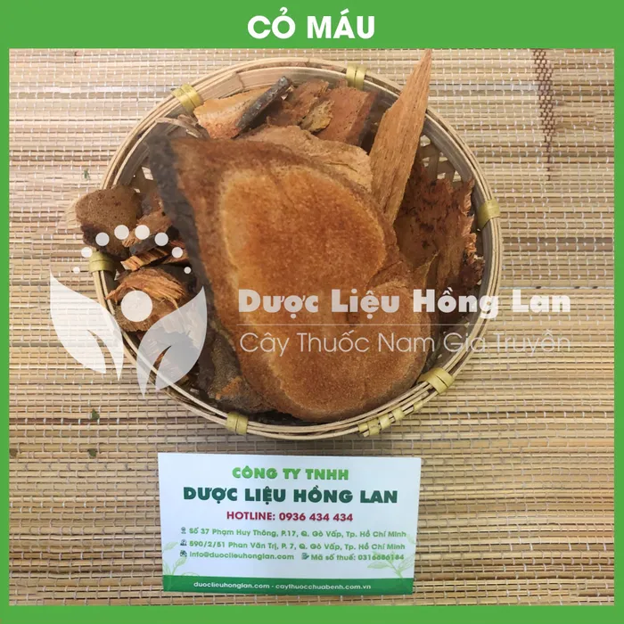 Cây Cỏ Máu 3