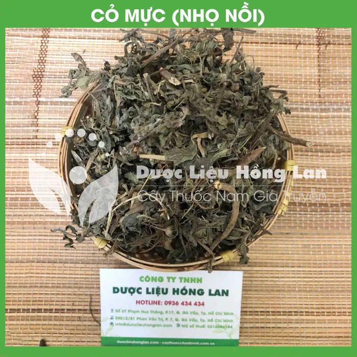 Cây Nhọ Nồi (Cỏ Mực) khô 1