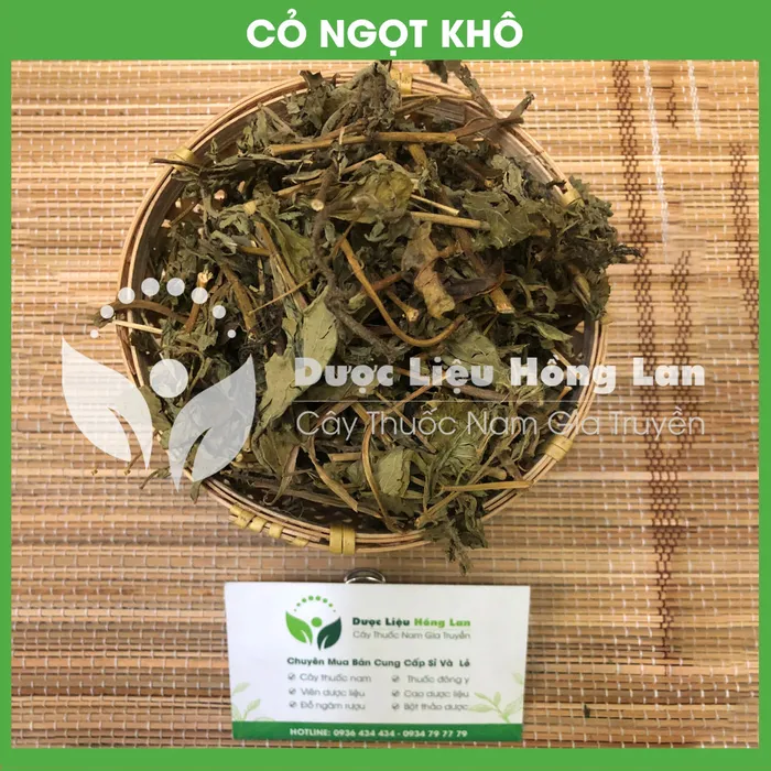 Cây Cỏ Ngọt khô 1